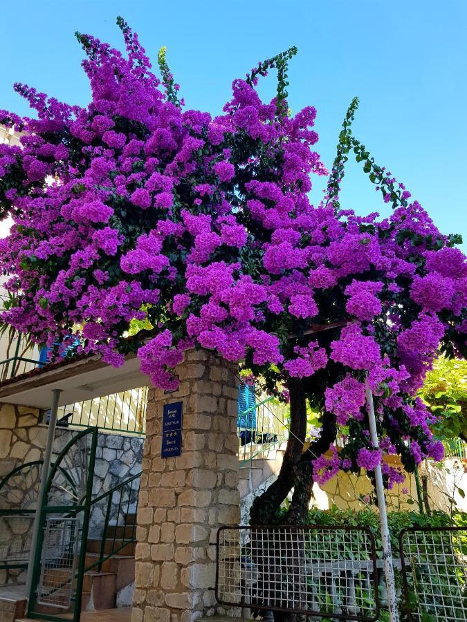 Roso Διαμέρισμα Gradac  Εξωτερικό φωτογραφία